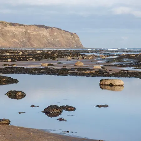 Pebble Holiday home Whitby