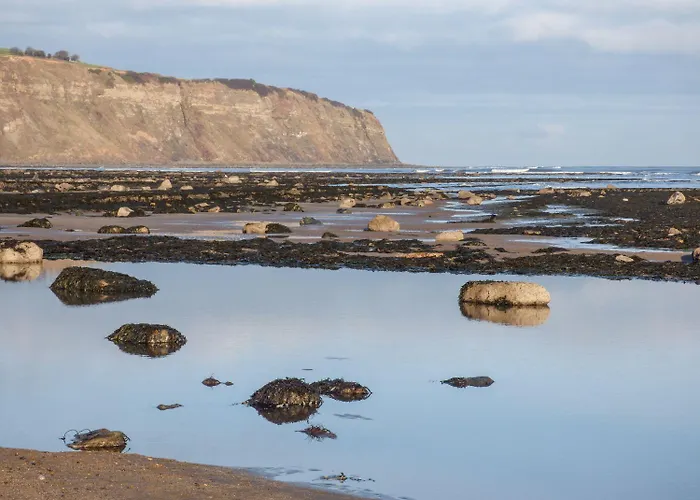Pebble Holiday home Whitby